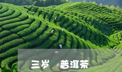 三岁 普洱茶/2023042882546